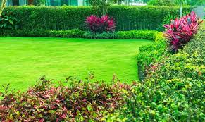 徐汇区现代化绿化工程行业